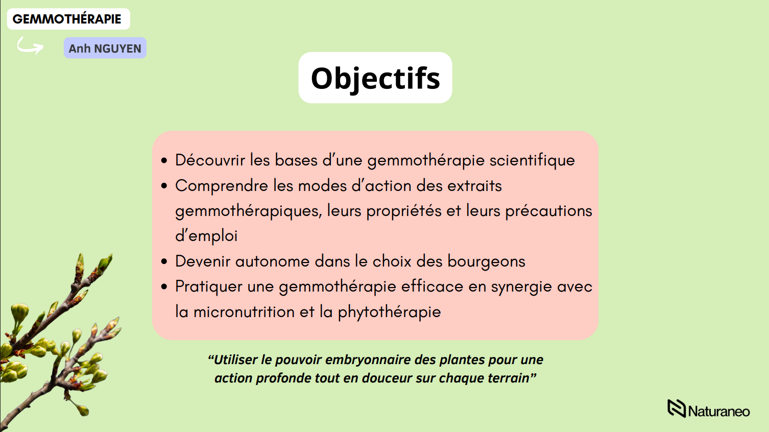 Gemmothérapie 4